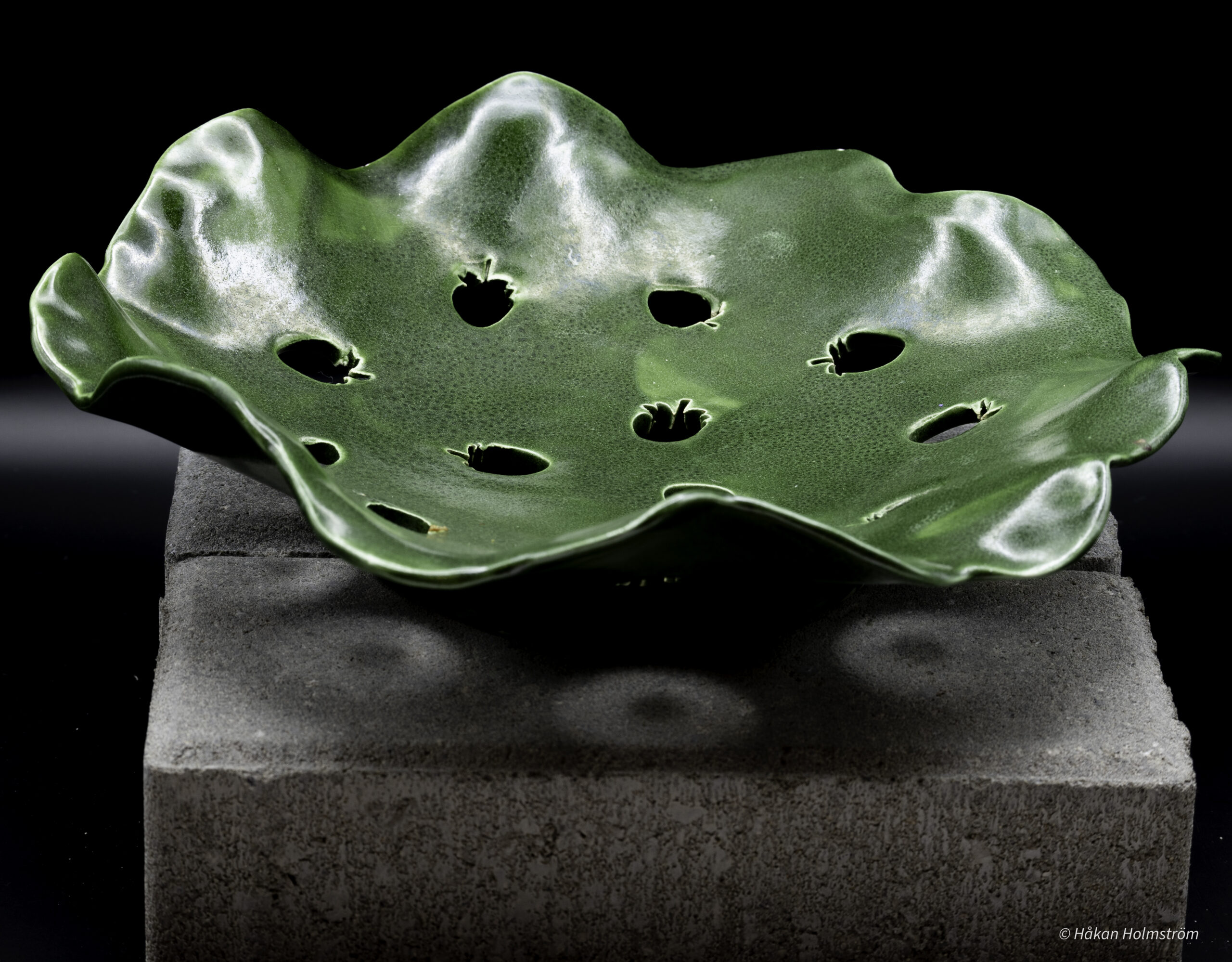 Skål med jordgubbs-hål